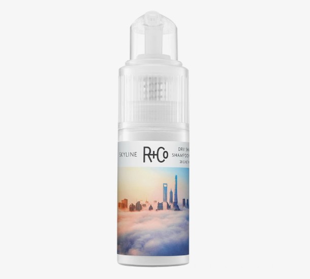 R+Co Skyline Volume Powder 28g